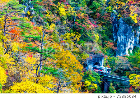 宮城県 紅葉の鳴子峡を走る陸羽東線 75385034