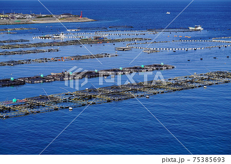 柏島の養殖イカダ 75385693