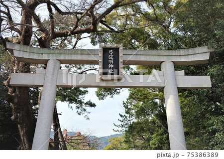 弓弦羽神社 75386389