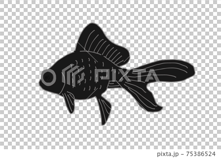 一條金魚用望遠鏡的插圖 75386524