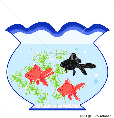 金魚鉢に金魚が泳いでいる夏イメージのイラストのイラスト素材