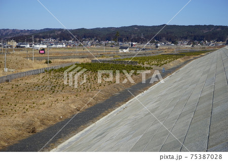 復興した十府ヶ浦 巨大な防潮堤と並んで走るリアス線 復興した十府ヶ浦 巨大な防潮堤と並んで走るリアス線 75387028