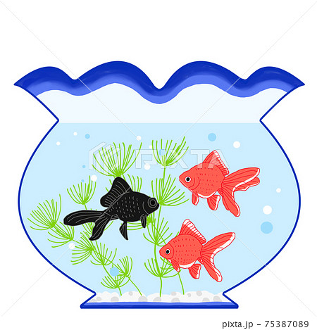 金魚鉢に金魚が泳いでいる夏イメージのイラストのイラスト素材
