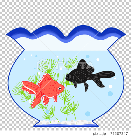 Illustration of a summer image of a goldfish swimming in a fishbowl 75387247