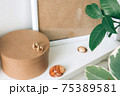 Indoor evergreen potted plant and blank beige poster frame, craft round box on a light background 75389581