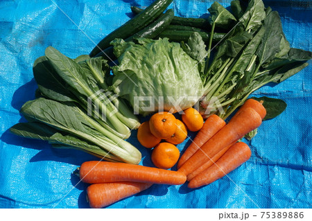 食から免疫力UP、健康食材 75389886