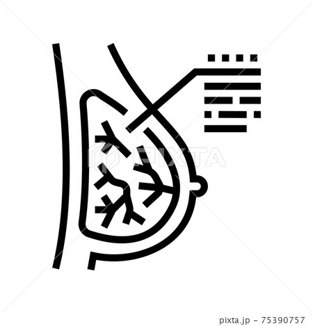 incision breast line icon vector illustration incision breast line icon vector illustration 75390757