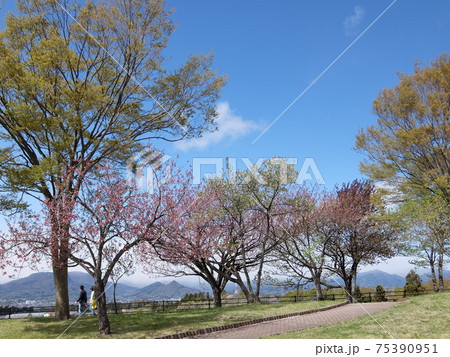空と緑～初夏の赤城高原 75390951