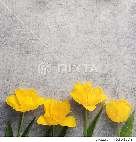 背景 バックグラウンド バックグランド 75391578