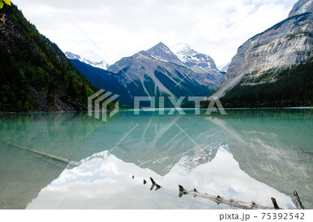 春のカナディアン・ロッキー キニー・レイク(マウント・ロブソン州立公園、カナダ) 春のカナディアン・ロッキー キニー・レイク(マウント・ロブソン州立公園、カナダ) 75392542