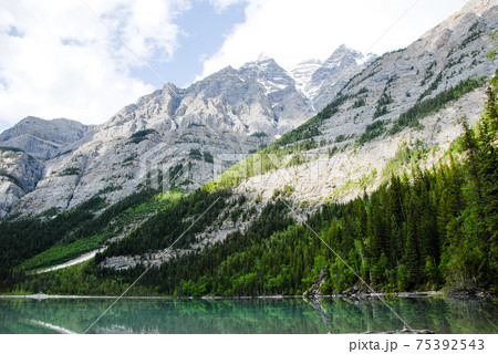 春のカナディアン・ロッキー キニー・レイク(マウント・ロブソン州立公園、カナダ) 春のカナディアン・ロッキー キニー・レイク(マウント・ロブソン州立公園、カナダ) 75392543