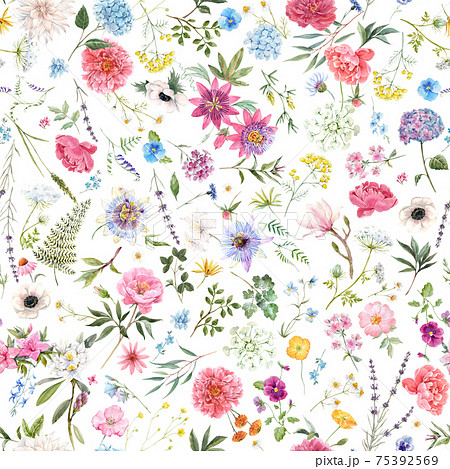 Beautiful seamless floral pattern with... - Stock Illustration [75392569] -  PIXTA