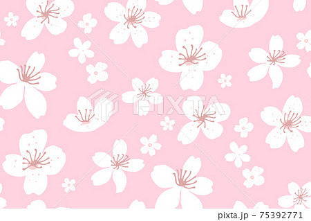 Pink spring cherry blossom background, seamless - Stock Illustration  [75392771] - PIXTA