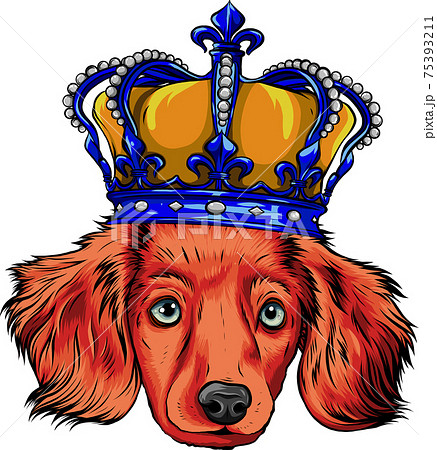 Vector Head Dog King In White Backgroundのイラスト素材