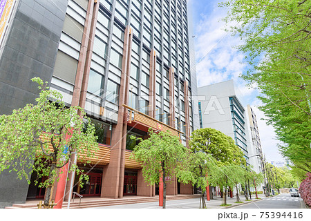 都市風景　明治座通り　明治座と新緑の街路樹　東京都中央区 75394416