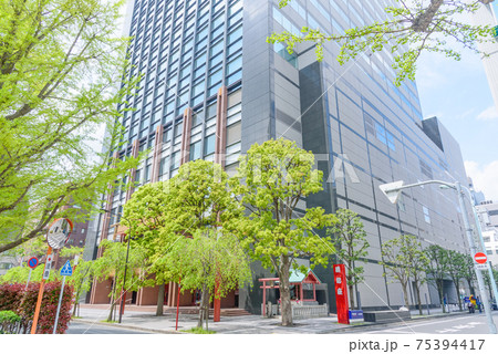 都市風景　明治座通り　明治座と新緑の街路樹　東京都中央区 75394417