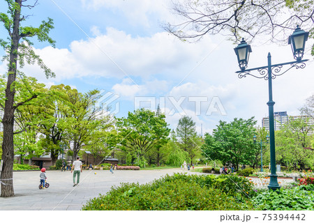 公園の風景　新緑が爽やかな浜町公園の広場　東京都中央区 75394442