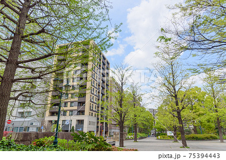 公園の風景 新緑の都営地下鉄浜町公園駅前 東京都中央区 公園の風景 新緑の都営地下鉄浜町公園駅前 東京都中央区 75394443