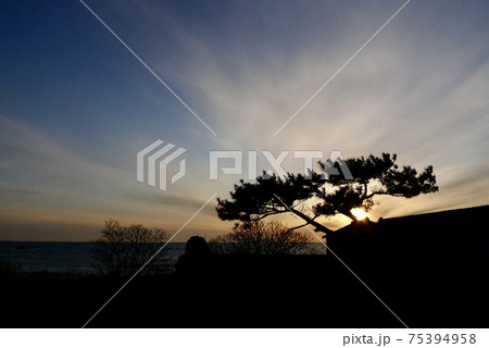 日本海の夕焼け空【新潟県村上市】 75394958