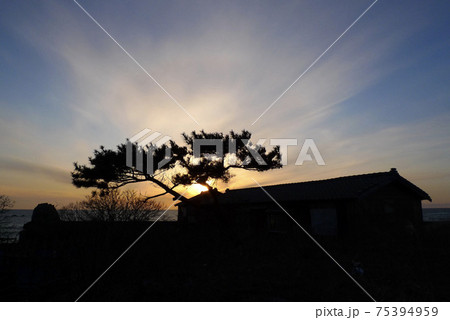 日本海の夕焼け空【新潟県村上市】 75394959