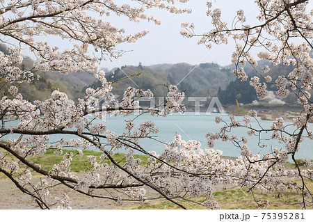 花曇りの写真素材
