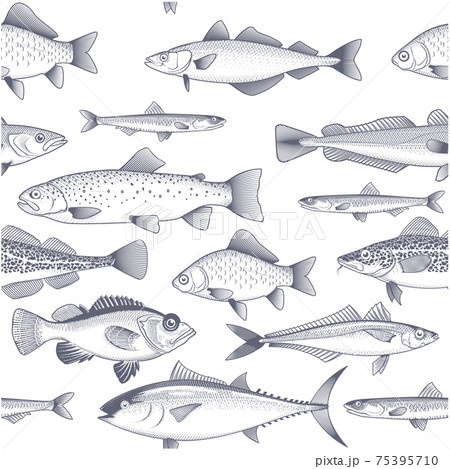 Seamless fish background, patterm of tuna, trout, mackerel and other commercial fish and seafood wallpaper, vector Seamless fish background, patterm of tuna, trout, mackerel and other commercial fish and seafood wallpaper, vector 75395710