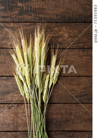 Ears of barley on rustic wooden table. Top view Ears of barley on rustic wooden table. Top view 75395983