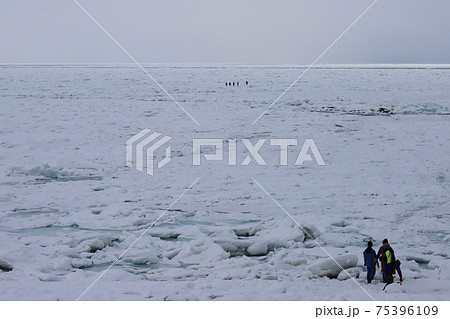 北海道 斜里 オホーツク海の流氷と流氷ウォーク 北海道 斜里 オホーツク海の流氷と流氷ウォーク 75396109