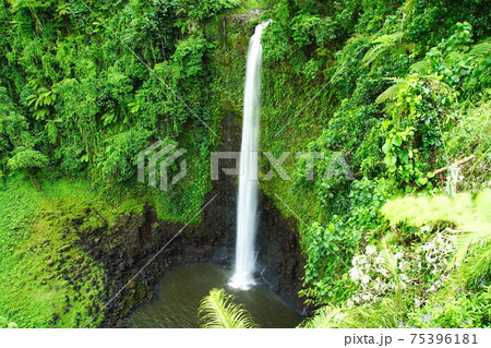 南太平洋の島国サモア独立国 ウポル島フイピシア滝の写真素材