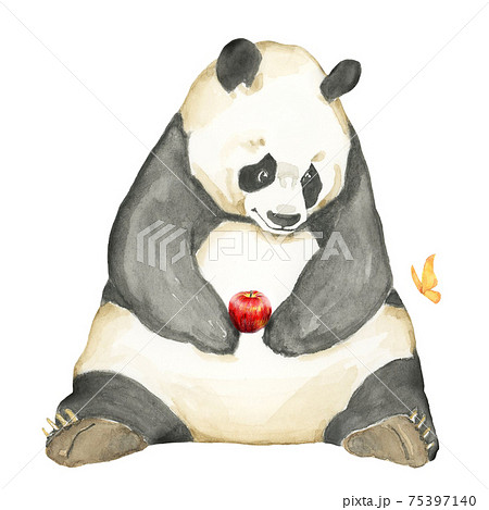 Panda With An Apple Hand Painted Watercolor Stock Illustration