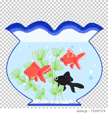金魚鉢に金魚が泳いでいる夏イメージのイラストのイラスト素材