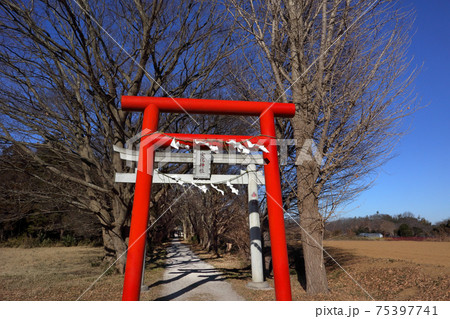 ロマンチック茨城 森の参道の入り口に青空にひときは赤い鳥居は女化神社の一の鳥居である 竜ケ崎市の写真素材