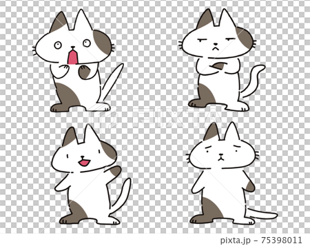 驚訝，可疑，呼喚，陷入困境的貓 75398011