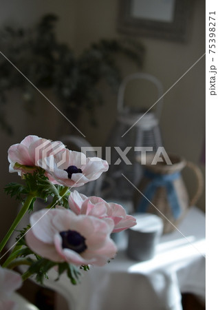 アネモネのテーブルアレンジメント 75398271