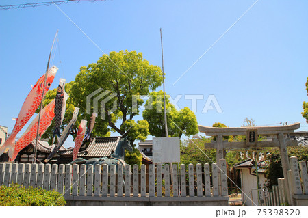 住吉神社(福住吉神社)とこいのぼり/大阪府大阪市西淀川区福町2丁目15 住吉神社(福住吉神社)とこいのぼり/大阪府大阪市西淀川区福町2丁目15 75398320