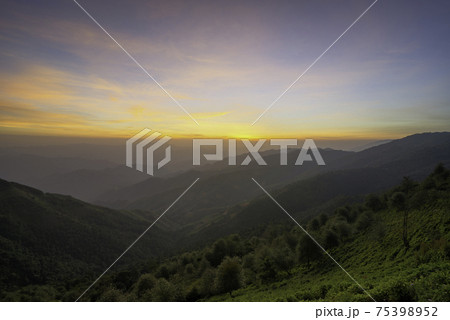 Ta Xua is a famous mountain range in northern Vietnam. All year round, the mountain rises above the clouds creating cloud inversions. 75398952