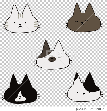 Cat's face Cat's face 75399034