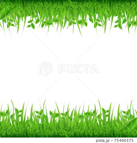 Grass Borders 75400375