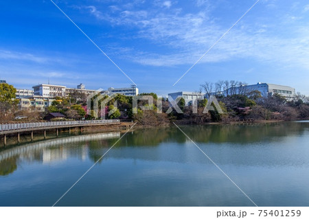 大府市 二ツ池公園と至学館大学校舎の遠景 大府市 二ツ池公園と至学館大学校舎の遠景 75401259