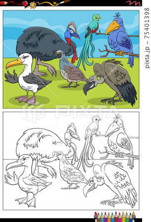 cartoon birds animal characters coloring book page cartoon birds animal characters coloring book page 75401398