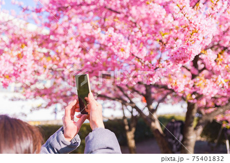 花見 スマホ 撮影 【ウィズコロナのニューノーマル】 花見 スマホ 撮影 【ウィズコロナのニューノーマル】 75401832
