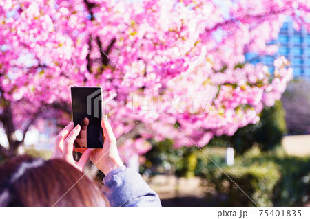 花見 スマホ 撮影 【ウィズコロナのニューノーマル】 花見 スマホ 撮影 【ウィズコロナのニューノーマル】 75401835