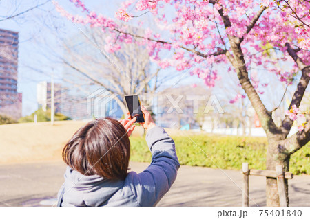 花見 スマホ 撮影 【ウィズコロナのニューノーマル】 花見 スマホ 撮影 【ウィズコロナのニューノーマル】 75401840