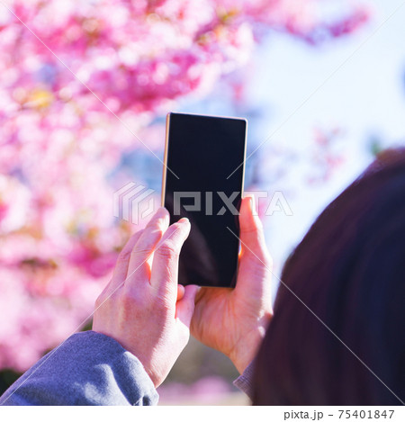 花見 スマホ 撮影 【ウィズコロナのニューノーマル】 花見 スマホ 撮影 【ウィズコロナのニューノーマル】 75401847