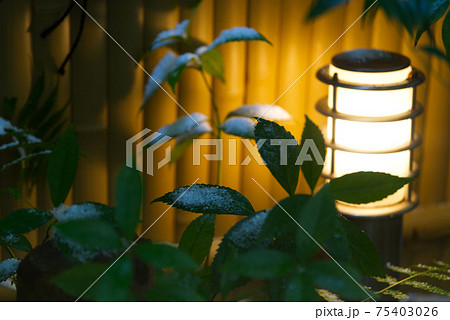 常夜灯と雪の積もった植物 常夜灯と雪の積もった植物 75403026