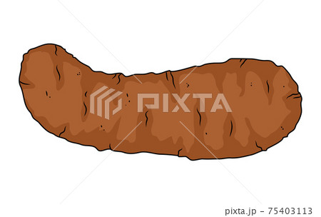 Poo feces clip-art. Human or dog stool icon isolated on white. Vector cartoon illustration. Poo feces clip-art. Human or dog stool icon isolated on white. Vector cartoon illustration. 75403113
