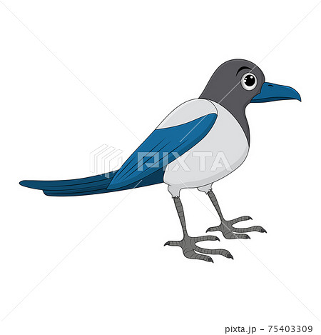 Cute Blue Jay Poses Cartoon Vector Illustration Stock Illustration