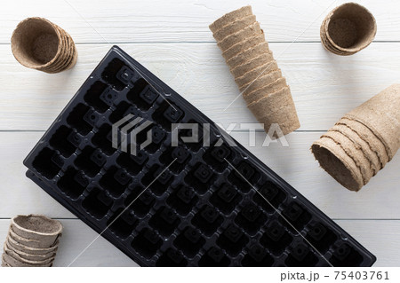Planting seeds in pots Planting seeds in pots 75403761