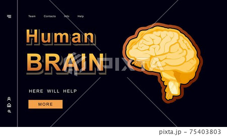 concept vector banner human brain 75403803