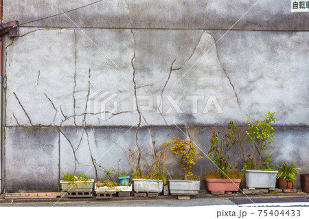 Plants in containers, Kyoto, Japan. Plants in containers, Kyoto, Japan. 75404433